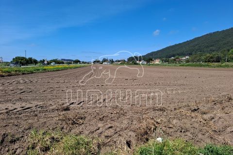 Helårsgrund i Viana do Castelo, Viana do Castelo, Viana do Castelo - € 400.000 | Ref: R5510 - foto 3