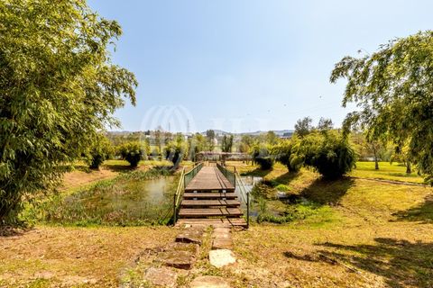 Villa i Amares, Braga, Amares - € 850.000 | Ref: 94091 - foto 26