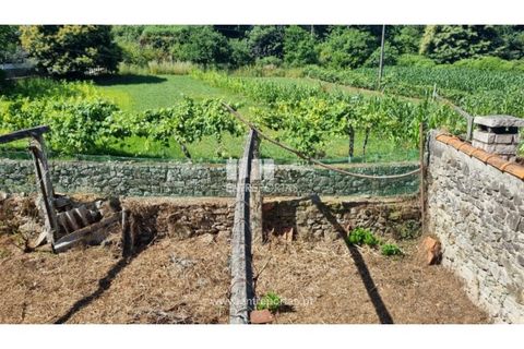 Villa i Caminha, Viana do Castelo, Caminha - € 150.000 | Ref: C02938 - foto 5
