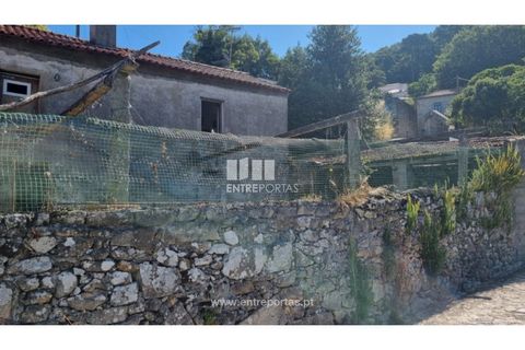 Villa i Caminha, Viana do Castelo, Caminha - € 150.000 | Ref: C02938 - foto 11