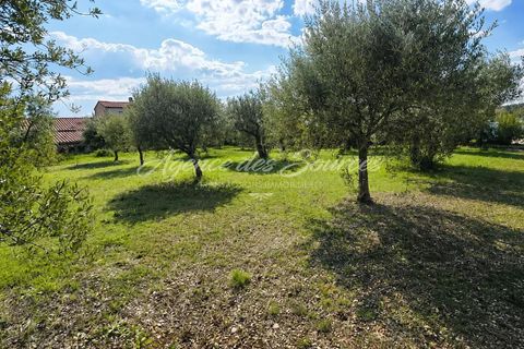 Terra a Tavernes, Var, Tavernes - € 133.500 | Ref: 1698 - foto 2