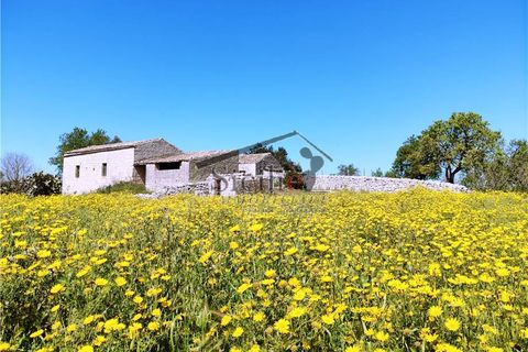 Villa i Modica, Ragusa, Modica - € 300.000 | Ref: 236 - foto 3