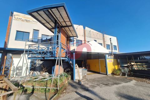Erhvervsejendom i Benevento, Benevento, Benevento - € 450.000 | Ref: AA39492 - foto 3