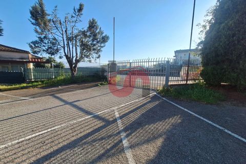 Erhvervsejendom i Benevento, Benevento, Benevento - € 450.000 | Ref: AA39492 - foto 7