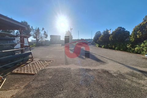Erhvervsejendom i Benevento, Benevento, Benevento - € 450.000 | Ref: AA39492 - foto 15