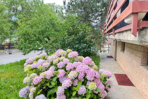 Lejlighed i Roburent, Cuneo, Roburent - € 53.000 | Ref: 26186 - foto 16