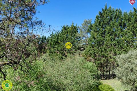 Villa i Cendrieux, Dordogne, Cendrieux - € 315.000 | Ref: 68CAL111483 - foto 12
