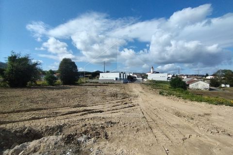 Helårsgrund i Barcelos, Braga, Barcelos - € 750.000 | Ref: 039260031 - foto 8