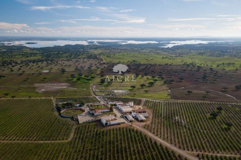 Farm i Evora, Evora, Evora - € 17.500.000 | Ref: 3612026EM - foto 8