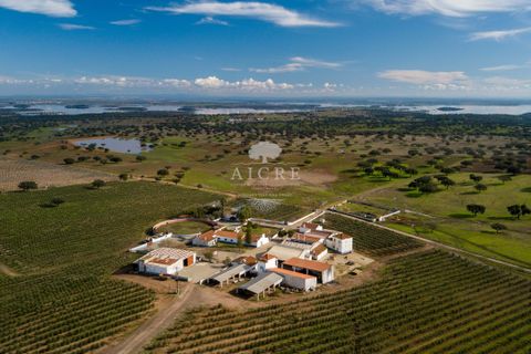 Farm i Evora, Evora, Evora - € 17.500.000 | Ref: 3612026EM - foto 9