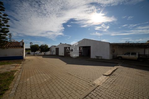 Farm i Evora, Evora, Evora - € 17.500.000 | Ref: 3612026EM - foto 11