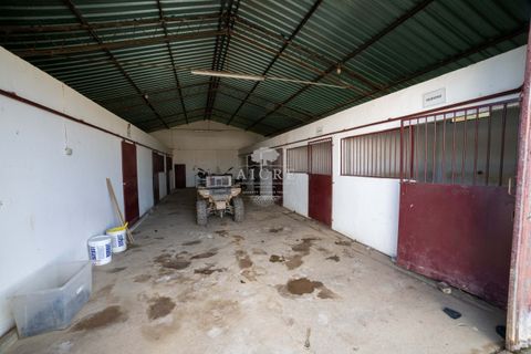 Farm i Evora, Evora, Evora - € 17.500.000 | Ref: 3612026EM - foto 12