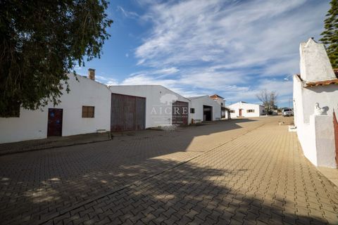 Farm i Evora, Evora, Evora - € 17.500.000 | Ref: 3612026EM - foto 13