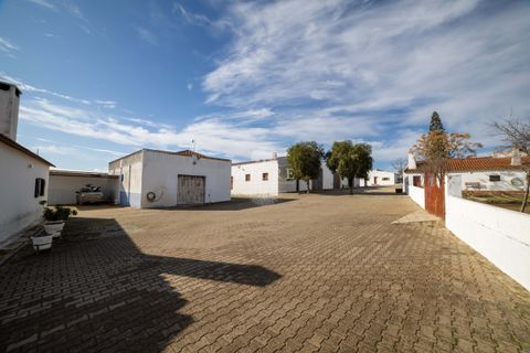 Farm i Evora, Evora, Evora - € 17.500.000 | Ref: 3612026EM - foto 14