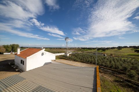 Farm i Evora, Evora, Evora - € 17.500.000 | Ref: 3612026EM - foto 15