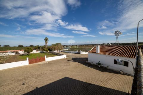 Farm i Evora, Evora, Evora - € 17.500.000 | Ref: 3612026EM - foto 17