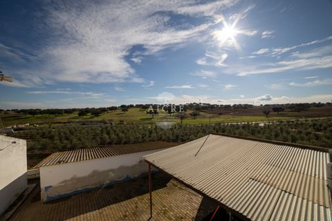 Farm i Evora, Evora, Evora - € 17.500.000 | Ref: 3612026EM - foto 18