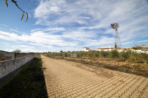Farm i Evora, Evora, Evora - € 17.500.000 | Ref: 3612026EM - foto 19