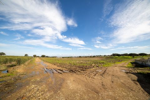 Farm i Evora, Evora, Evora - € 17.500.000 | Ref: 3612026EM - foto 20