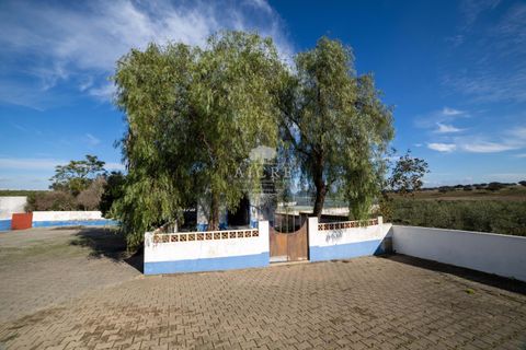 Farm i Evora, Evora, Evora - € 17.500.000 | Ref: 3612026EM - foto 21