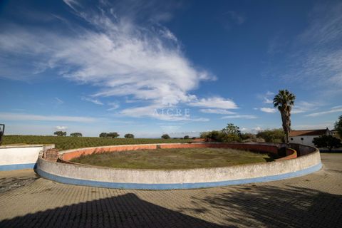 Farm i Evora, Evora, Evora - € 17.500.000 | Ref: 3612026EM - foto 23