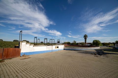 Farm i Evora, Evora, Evora - € 17.500.000 | Ref: 3612026EM - foto 24