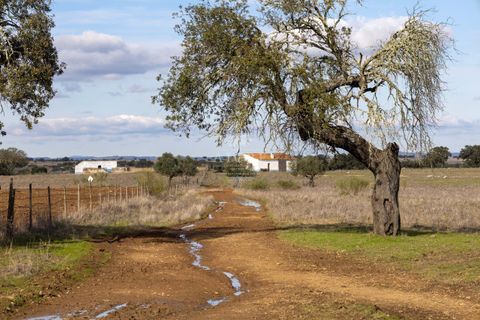 Farm i Evora, Evora, Evora - € 17.500.000 | Ref: 3612026EM - foto 32
