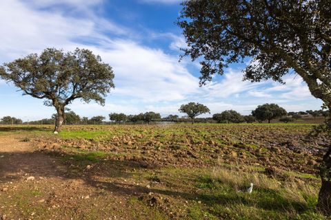 Farm i Evora, Evora, Evora - € 17.500.000 | Ref: 3612026EM - foto 38