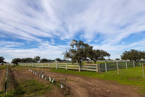 Farm i Evora, Evora, Evora - € 17.500.000 | Ref: 3612026EM - foto 40