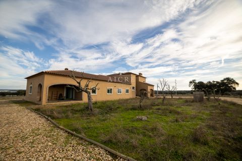Farm i Evora, Evora, Evora - € 17.500.000 | Ref: 3612026EM - foto 43