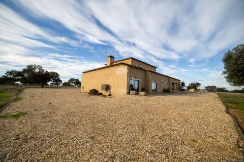 Farm i Evora, Evora, Evora - € 17.500.000 | Ref: 3612026EM - foto 46