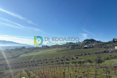 Villa a Colonnella, Teramo, Colonnella - € 700.000 | Ref: S158 - foto 23