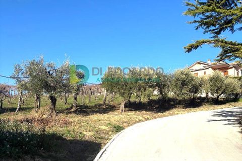 Villa a Colonnella, Teramo, Colonnella - € 700.000 | Ref: S158 - foto 48