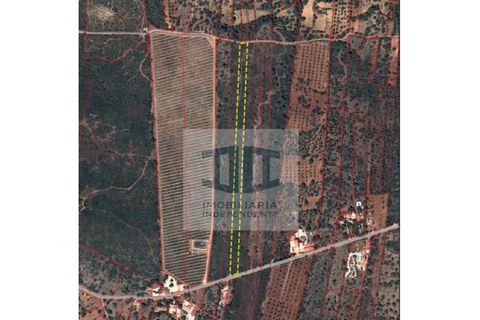 Helårsgrund i Benafim, Faro, Benafim - € 55.000 | Ref: SÒL_277 - foto 1