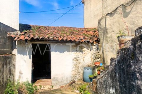 Villa a Alcanena, Santarem, Alcanena - € 29.950 | Ref: M064PD - foto 8