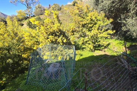 Villa i Ventimiglia, Imperia, Ventimiglia - € 420.000 | Ref: 23844 - foto 23