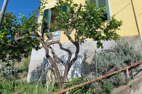 Byhus i Vallecrosia, Imperia, Vallecrosia - € 140.000 | Ref: 23850 - foto 4