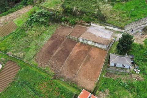 Helårsgrund i Machico, Madeira, Machico - € 70.000 | Ref: KWPT-029483 - foto 3