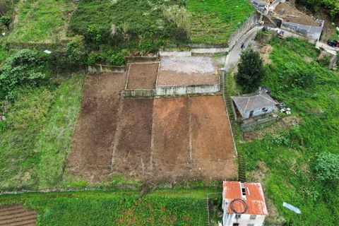 Helårsgrund i Machico, Madeira, Machico - € 70.000 | Ref: KWPT-029483 - foto 8