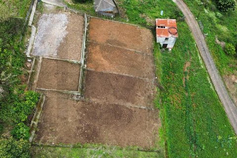 Helårsgrund i Machico, Madeira, Machico - € 70.000 | Ref: KWPT-029483 - foto 15