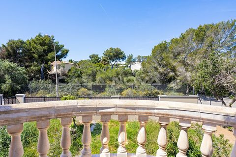 Villa a Sol De Mallorca, Mallorca, Sol De Mallorca - € 2.700.000 | Ref: 2503898 - foto 22
