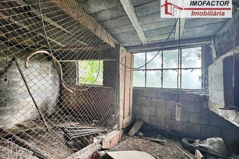 Villa a Castelo Branco, Castelo Branco, Castelo Branco - € 24.000 | Ref: 21-11878 - foto 11