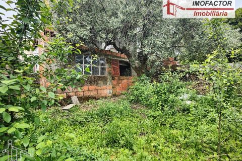 Villa a Castelo Branco, Castelo Branco, Castelo Branco - € 24.000 | Ref: 21-11878 - foto 16