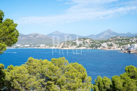 Helårsgrund i Santa Ponsa, Mallorca, Santa Ponsa - € 2.600.000 | Ref: 071625 - foto 8