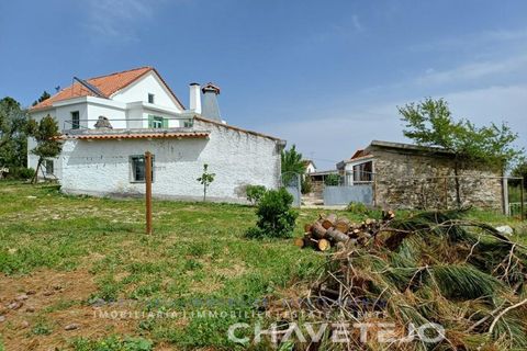 Farm i Serta, Castelo Branco, Serta - € 500.000 | Ref: 700/26 - foto 5
