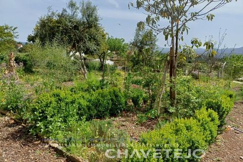 Farm i Serta, Castelo Branco, Serta - € 500.000 | Ref: 700/26 - foto 8