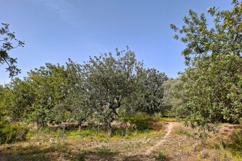 Terra a Altea, Alicante, Altea - € 400.000 | Ref: N8131 - foto 6