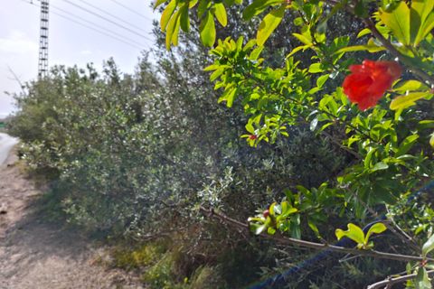 Terra a Altea, Alicante, Altea - € 400.000 | Ref: N8131 - foto 12