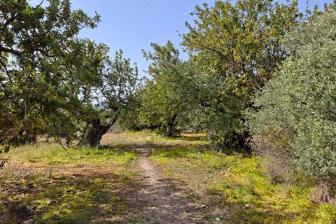 Terra a Altea, Alicante, Altea - € 400.000 | Ref: N8131 - foto 14