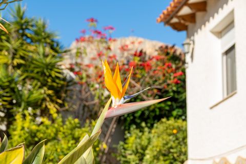 Villa i Calpe, Alicante, Calpe - € 599.000 | Ref: VE17 - foto 31
